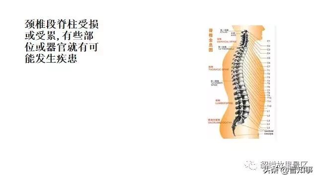 忻州薛氏正骨,忻州古城傅山苑