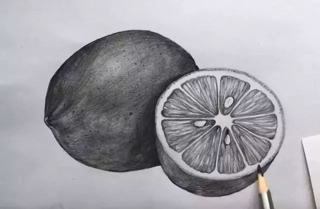 素描彩铅蔬菜画,蔬菜素描画法步骤图