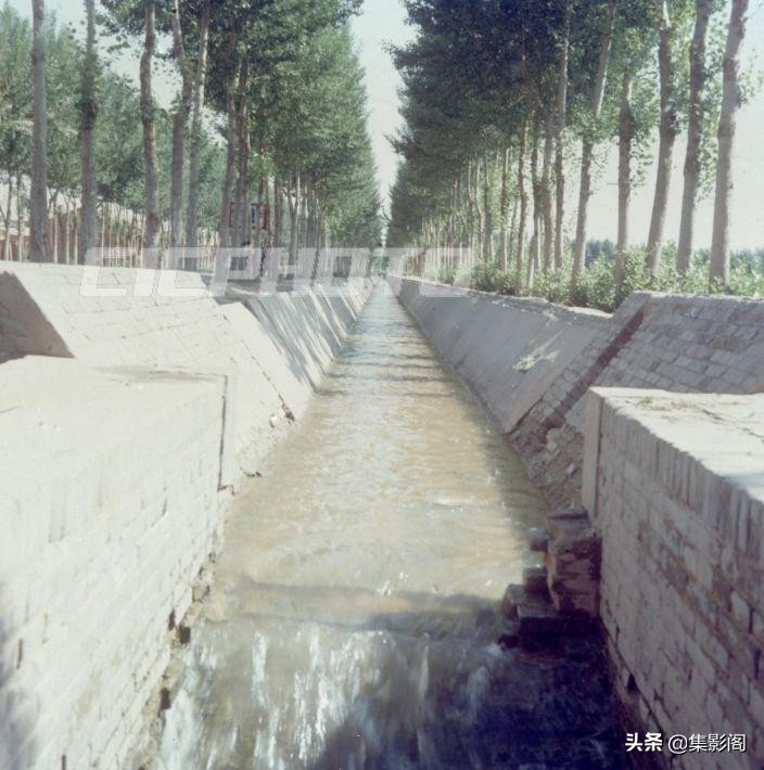 榆林市镇川镇老照片 (榆林市卫校老照片)