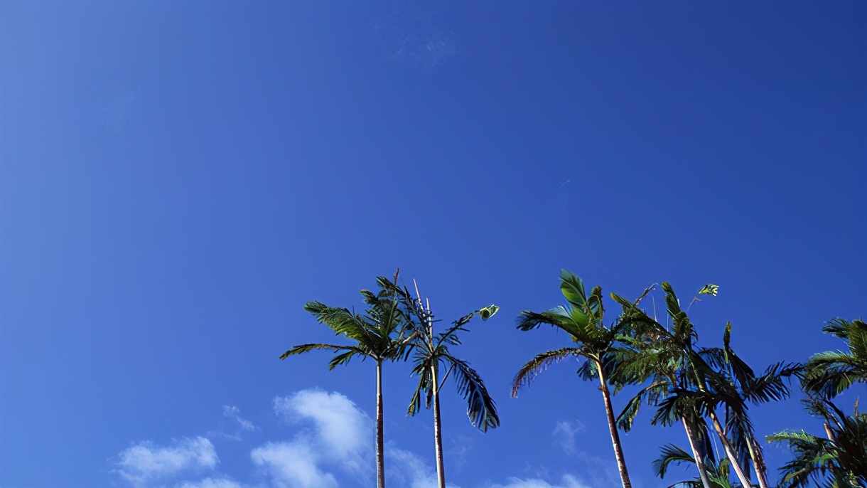 一出生就清华北大的男孩名字,10个学霸潜质的男孩名字