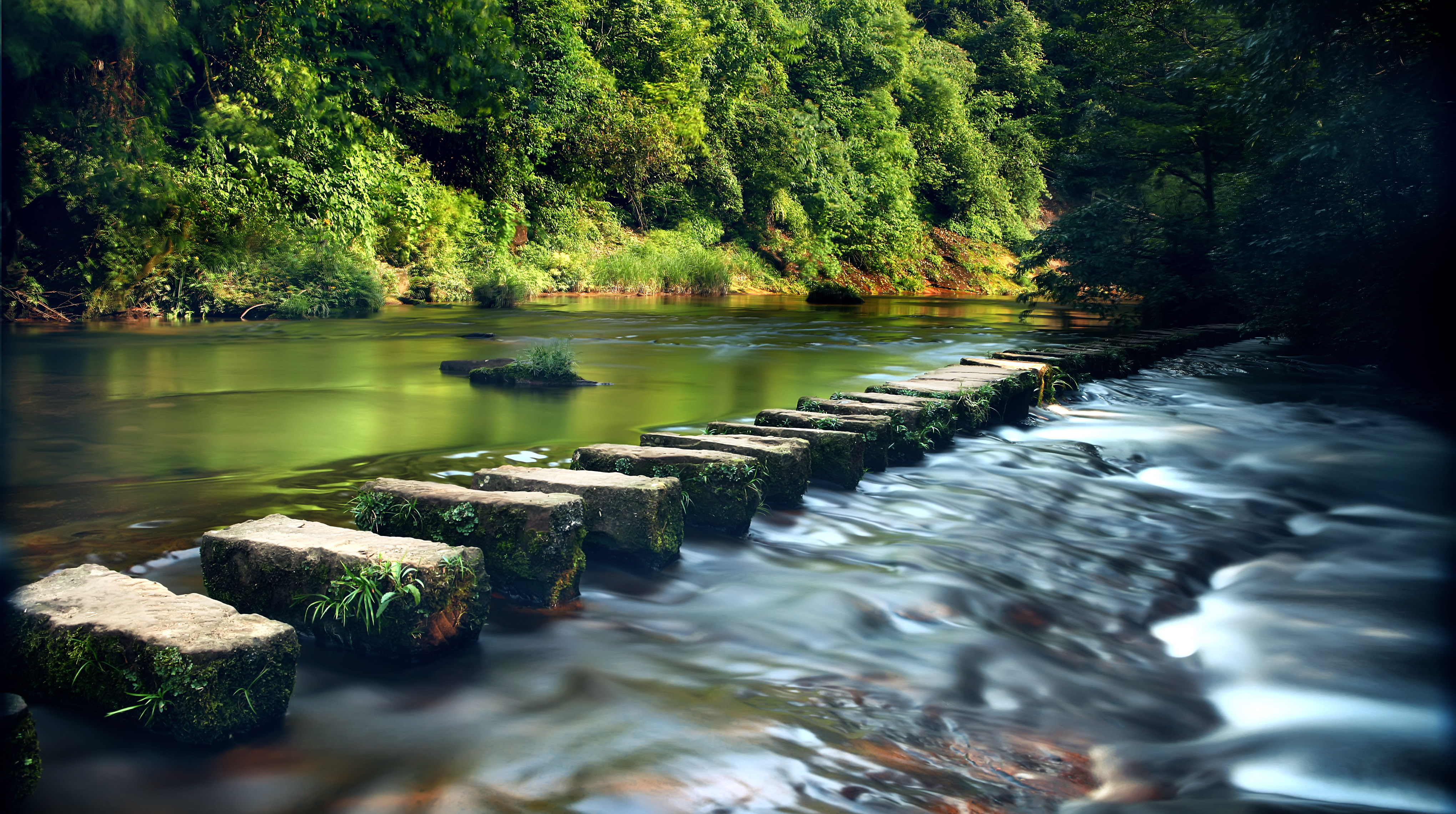 成都周边春季徒步旅游攻略,成都森林徒步旅游攻略
