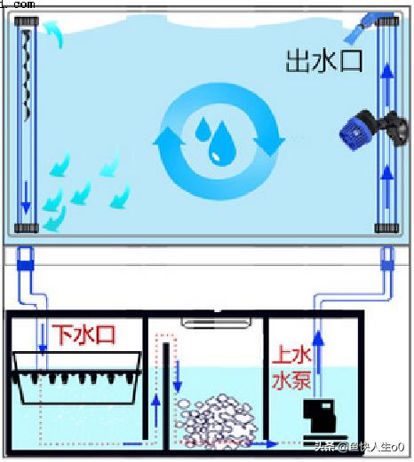 养鱼怎样完善过滤系统,底滤缸养鱼用哪种过滤