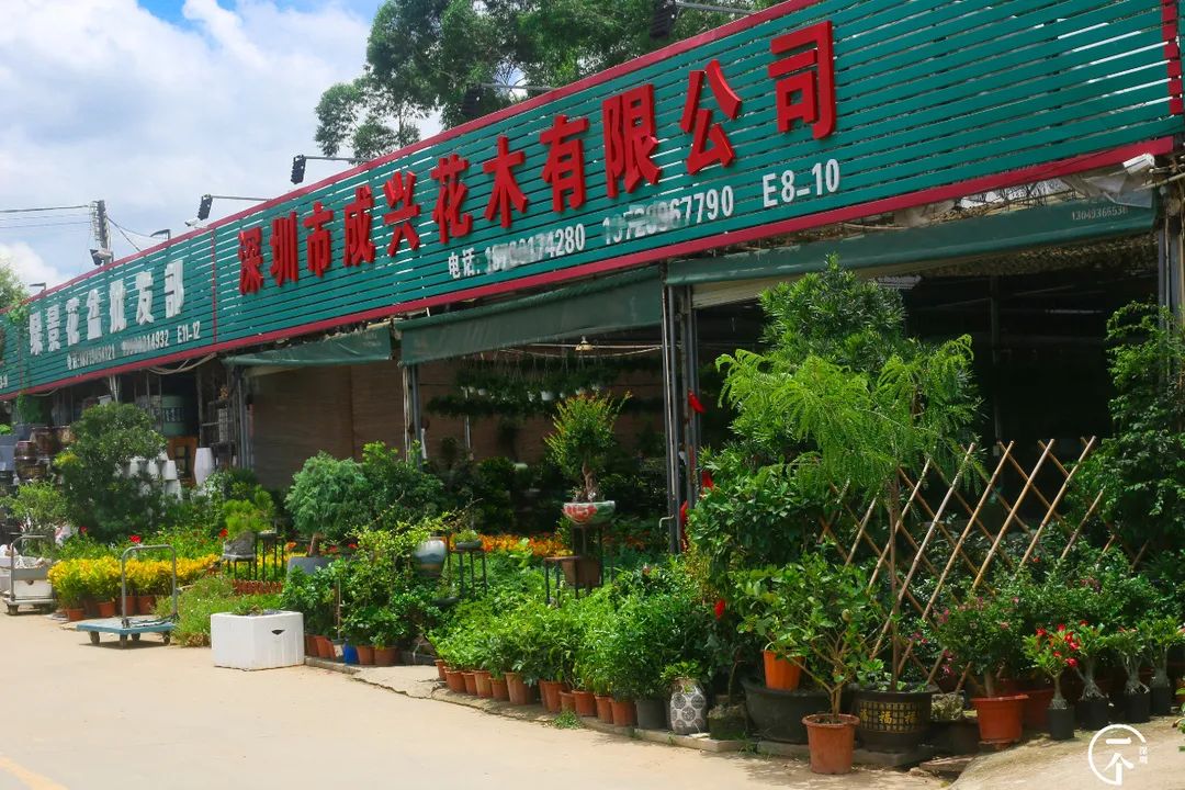 深圳布吉房租走势,布吉租房大概是什么价位