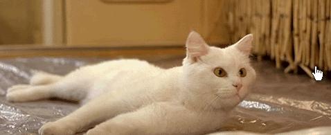 2023新款时尚半圆马鞍包,新款时髦高级感包