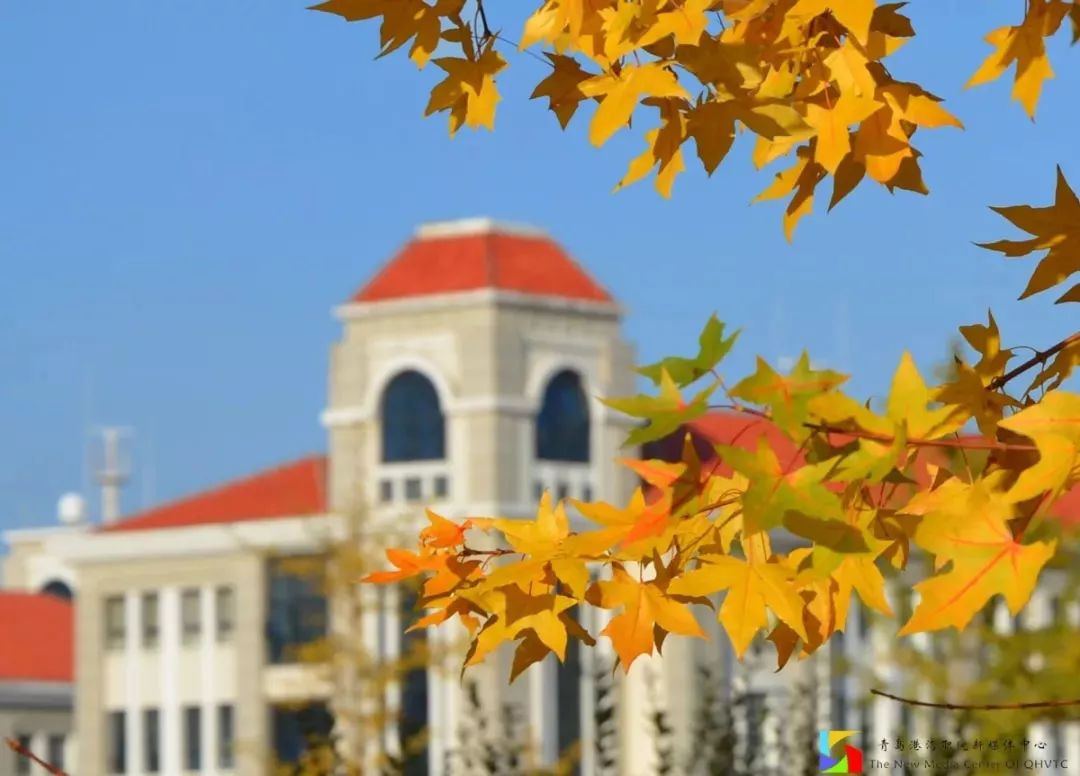 选择青岛港湾的理由,山东职业学院与青岛港湾职业学院