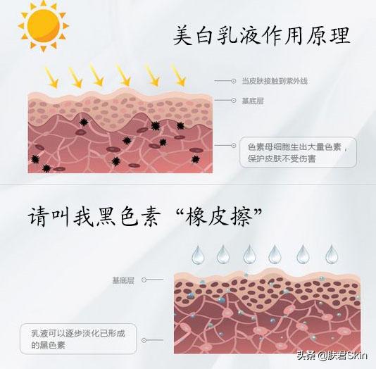 乳液和面霜有什么区别,科颜氏乳液和面霜的区别