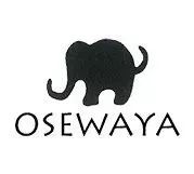 施华洛世奇手链女轻奢小众,小众饰品项链施华洛世奇