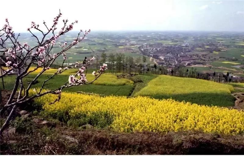 龙泉驿区的发展规划,龙泉驿区庆祝建党100周年活动