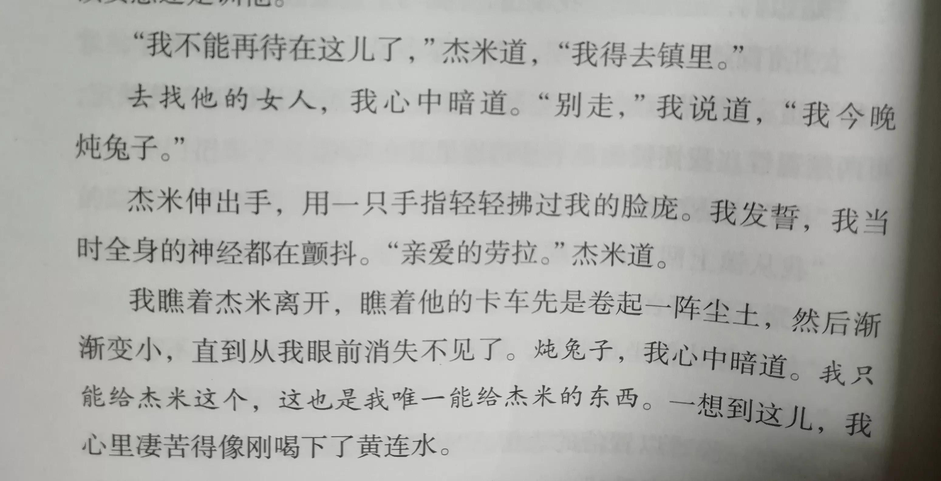 「美」希拉莉•乔顿《泥土之界》