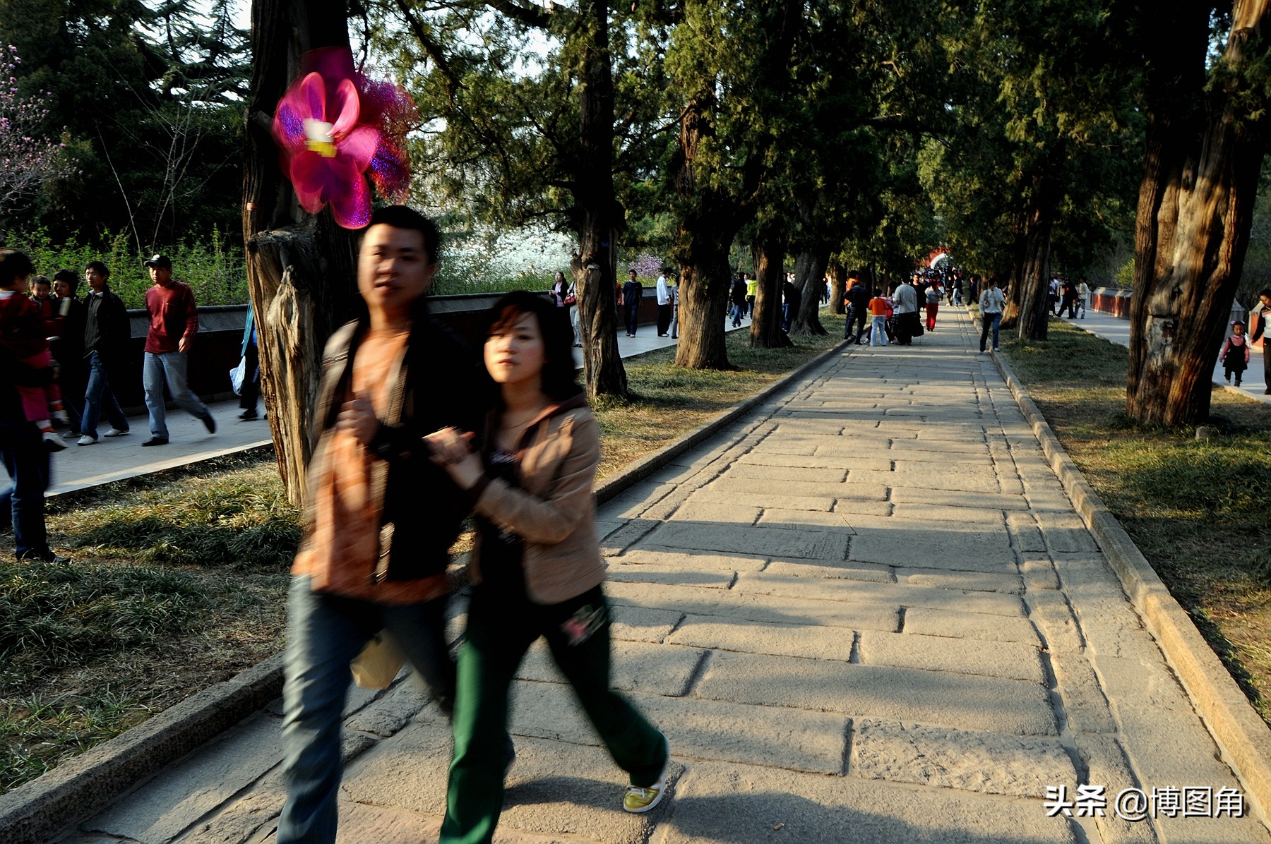 卧佛寺十八罗汉,玉佛寺的十八罗汉