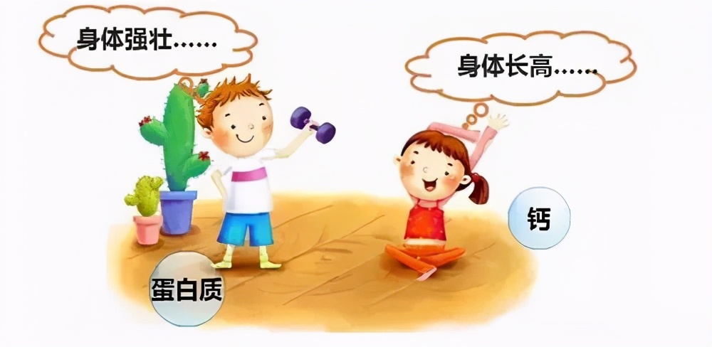 孩子补充蛋白质容易长高,孩子补充蛋白质喝什么奶