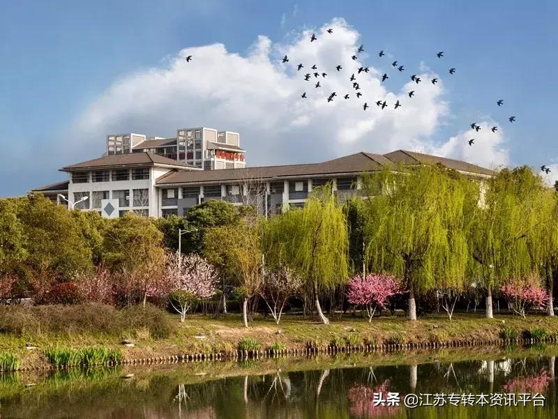 江苏专转本学校南京邮电大学,江苏专转本南京邮电大学邮政管理