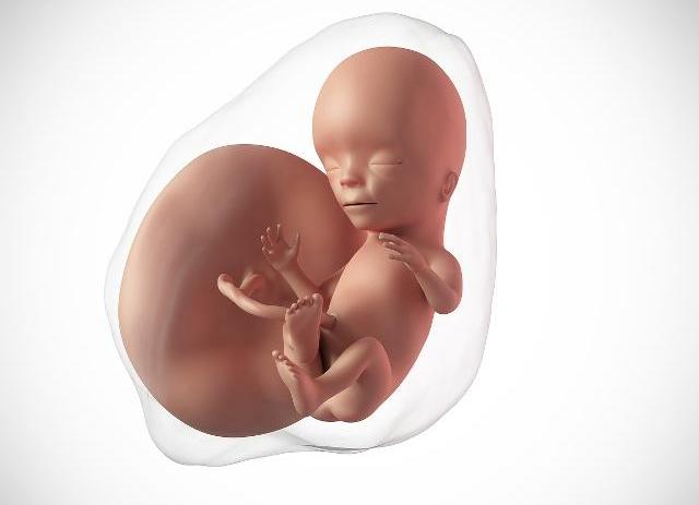 胎儿出现缺氧的情况很危险，你必须清楚这些缺氧后的身体反应