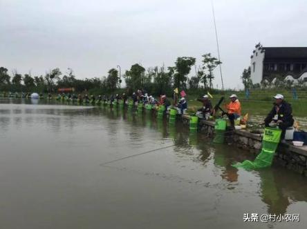 农村种植什么最赚钱最好做,农村种植什么最赚钱500元小本创业