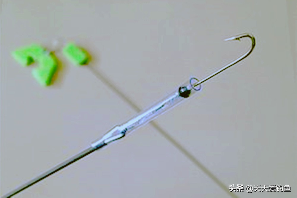 野生黄鳝用什么东西钓黄鳝,野钓黄鳝的正确方法