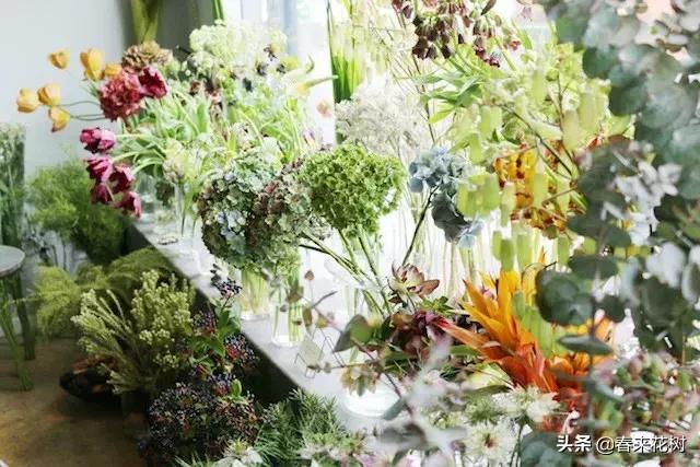 日本东京花店推荐,超美的花店