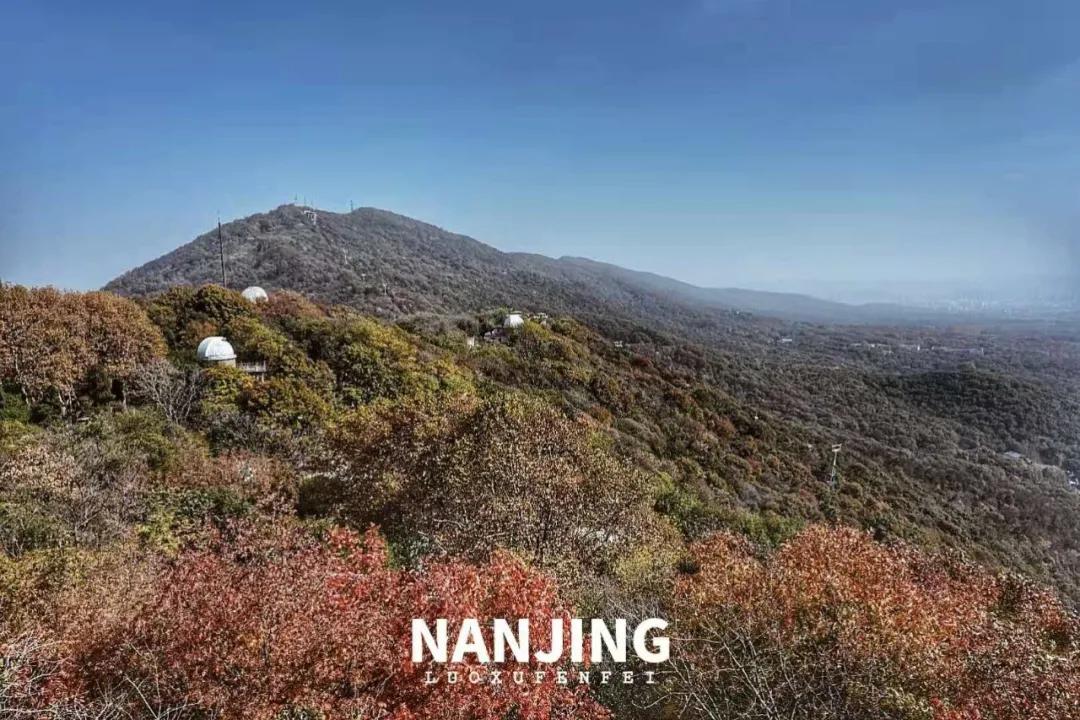 玩完南京去哪里玩景点推荐,南京钟山风景区秋天一日游攻略