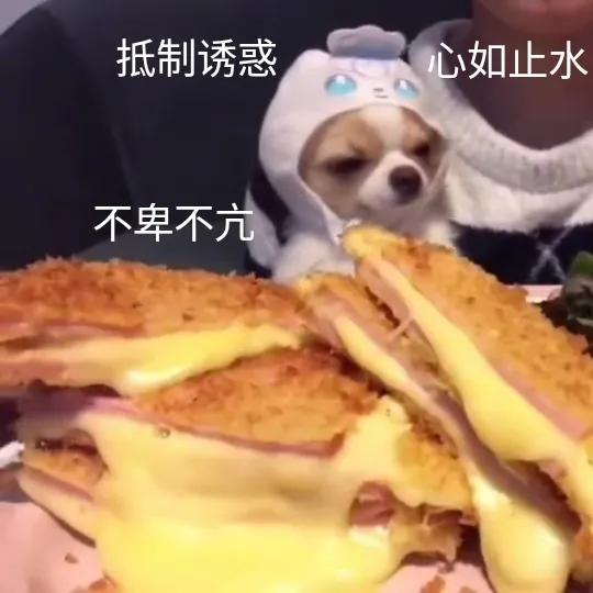 鍗庤タ鐨偆绉戞潕钀岃悓,鍗庤タ鍖婚櫌鐨偆绉戝尰鐢熸潕钀岃悓