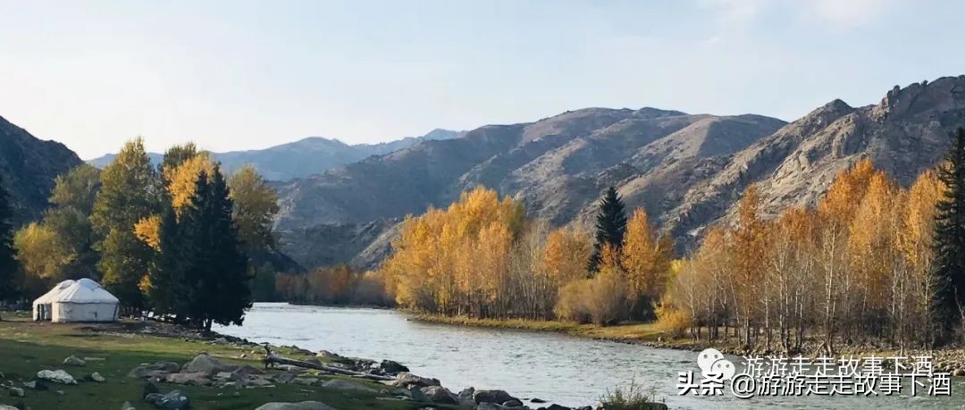 *疆新**自由1：15000公里带狗走全疆（*疆新**全程路书）