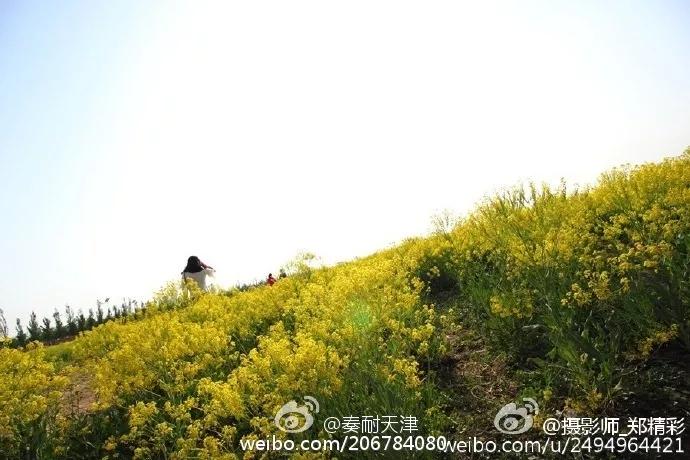 天津市今天的静海消息,天津骄傲的大静海