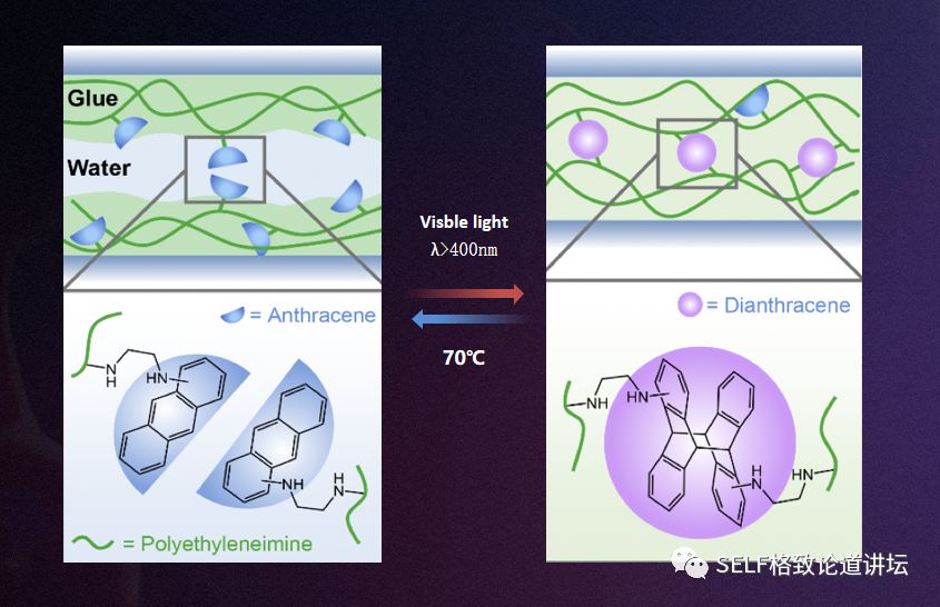 诺贝尔奖中的有机化学,为什么诺贝尔化学奖很少