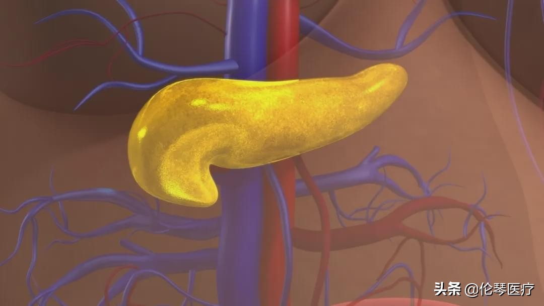 2022年恶性肿瘤筛查与预防指南,常见恶性肿瘤的预防和筛检