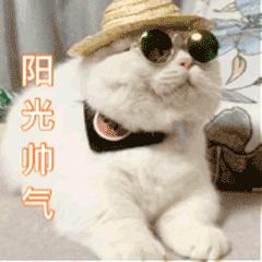 无人驾驶出租车来了,无人驾驶出租车来了你敢坐吗