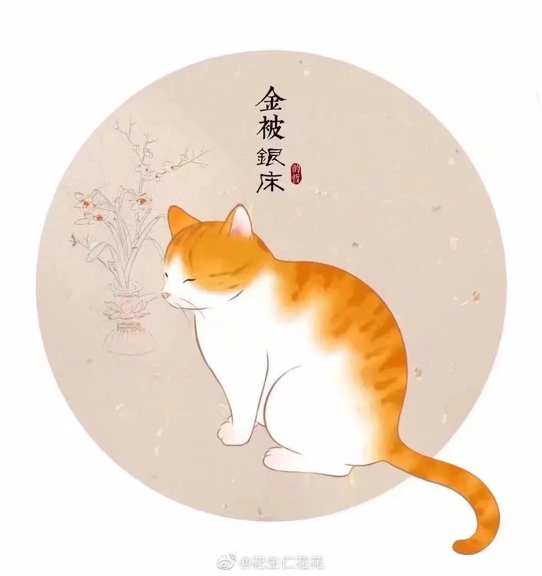 猫在古代是如何看待猫的,古人按猫的颜色分类