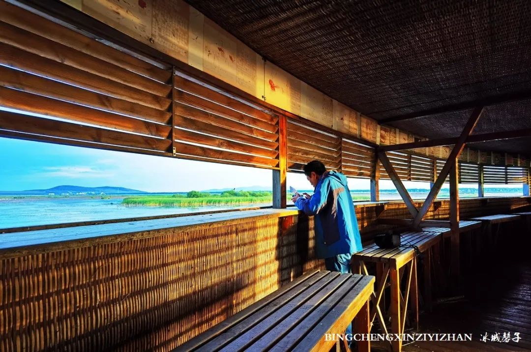 再返富锦，为着那份飘着稻花香的“湿”意约定