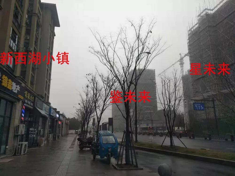 未来科技城保障性住房项目,未来科技城南湖楼盘