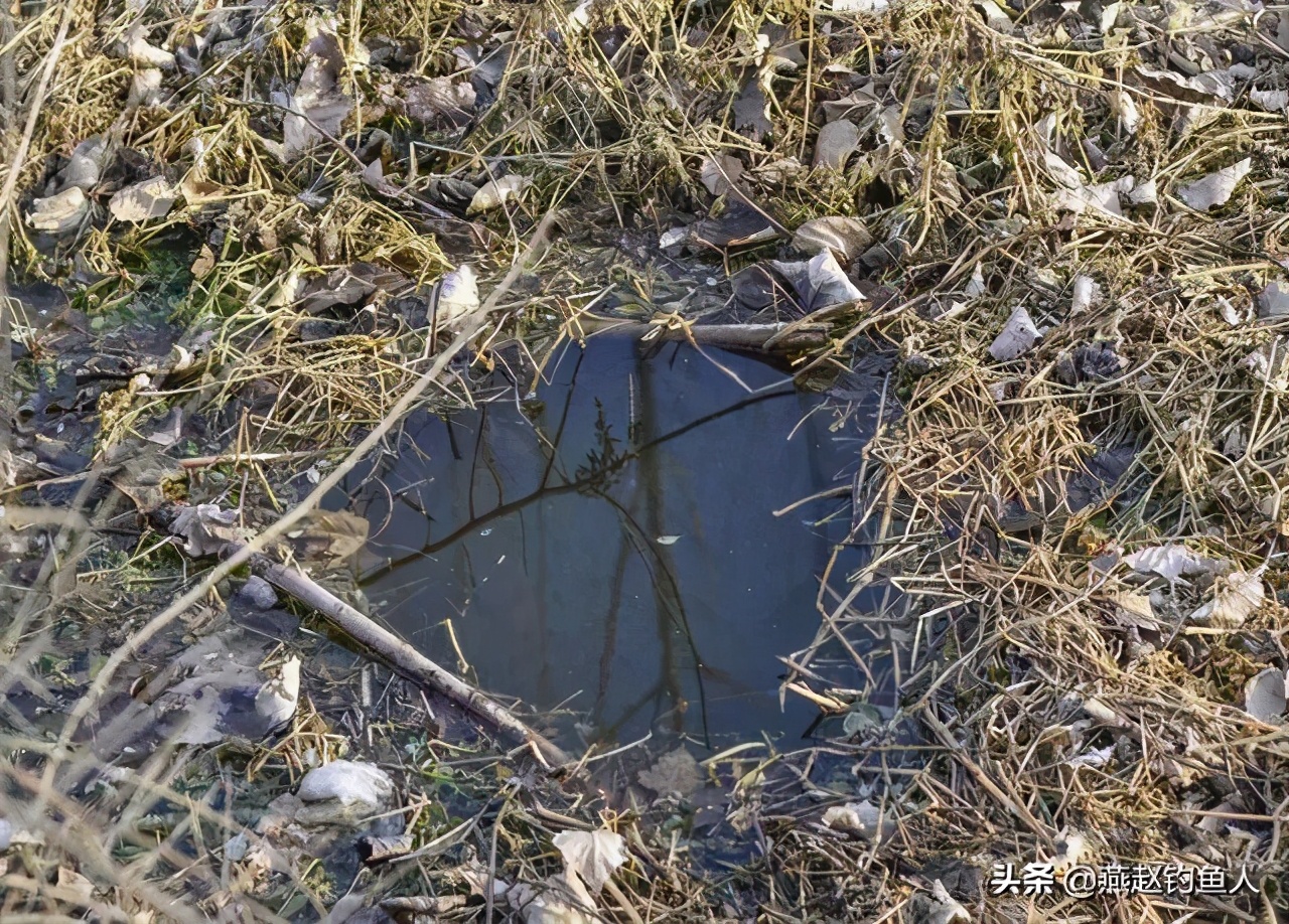 传统钓单钩调几目最好,冬季传统钓长竿钓鱼方法