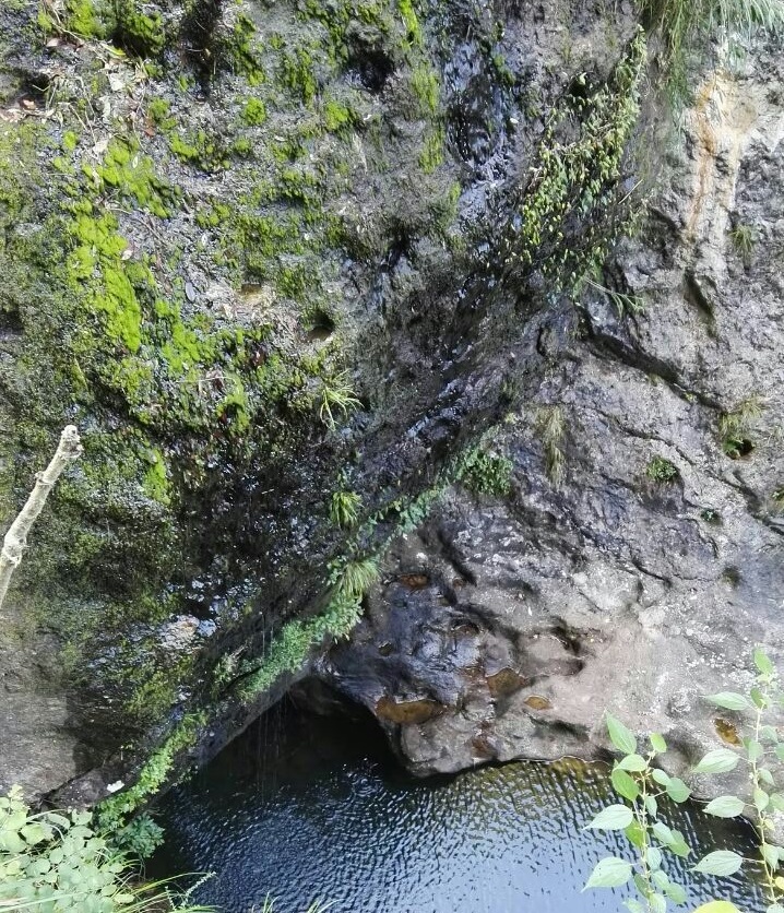 现代教育的缺失和遗憾,襄城县现状