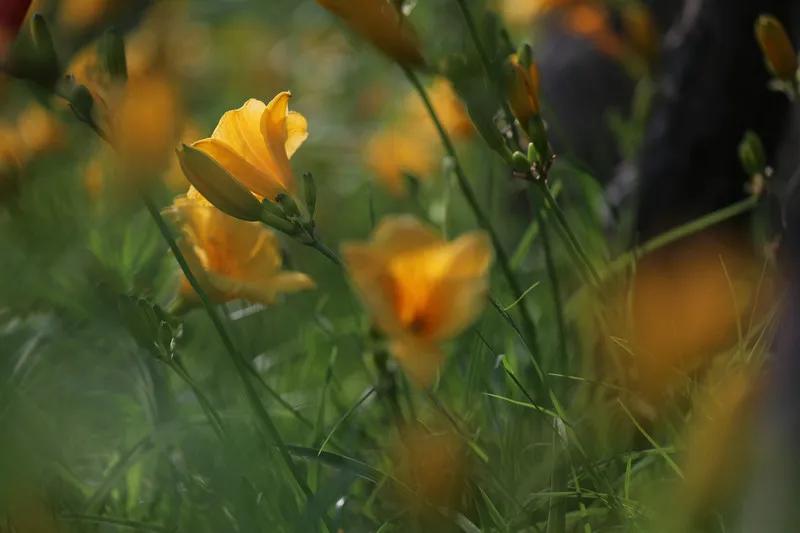 圈子不同不必强融搞笑语录,圈子不同不必强融有幽默的说法吗