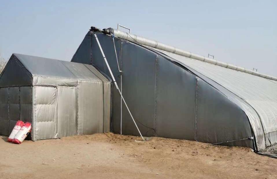 蔬菜种植日光温室时间,日光温室大棚种植什么比较好