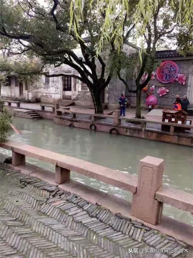 蓟州紫塞明珠农家院,紫塞明珠丰宁农家乐