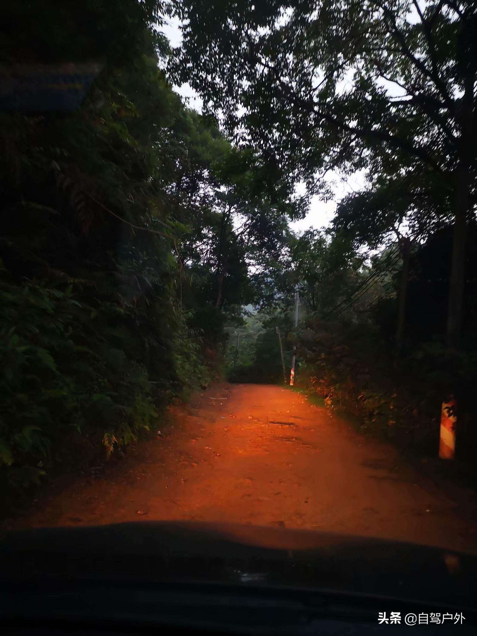 惠州明月山庄露营,罗浮山休闲竹林露营地