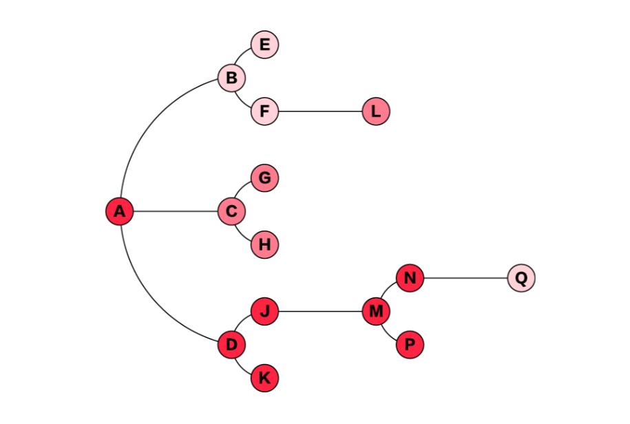 共创时代:未来品牌报告丨Launch首发X小红书