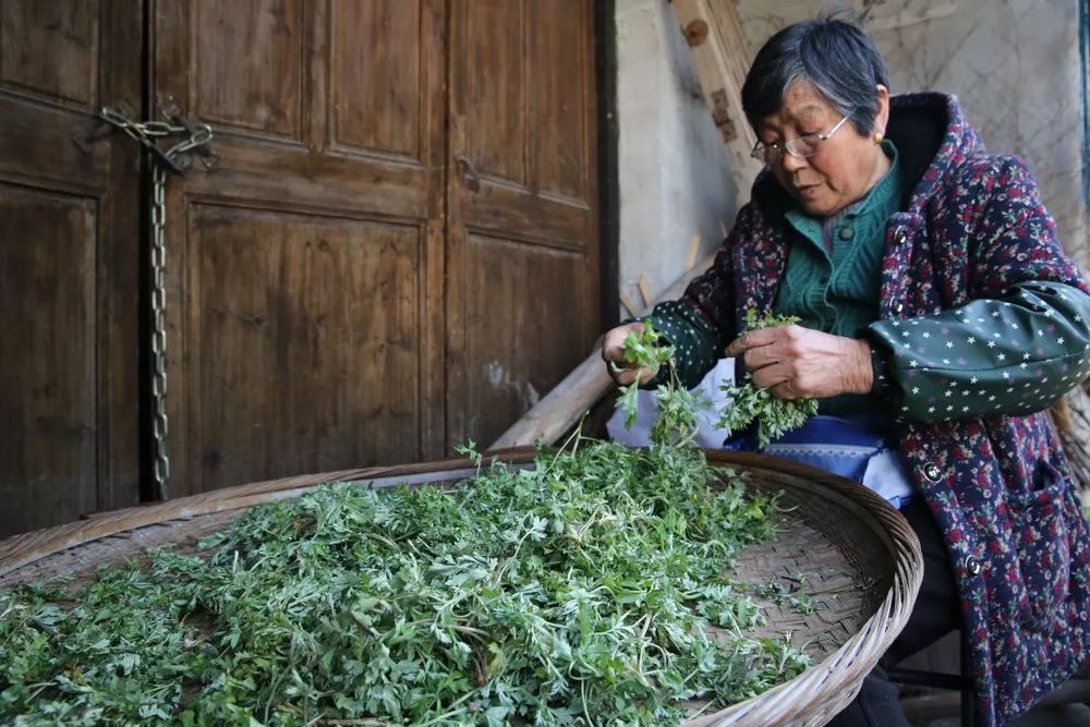 哪里的青团最正宗,青团哪个牌子最好吃