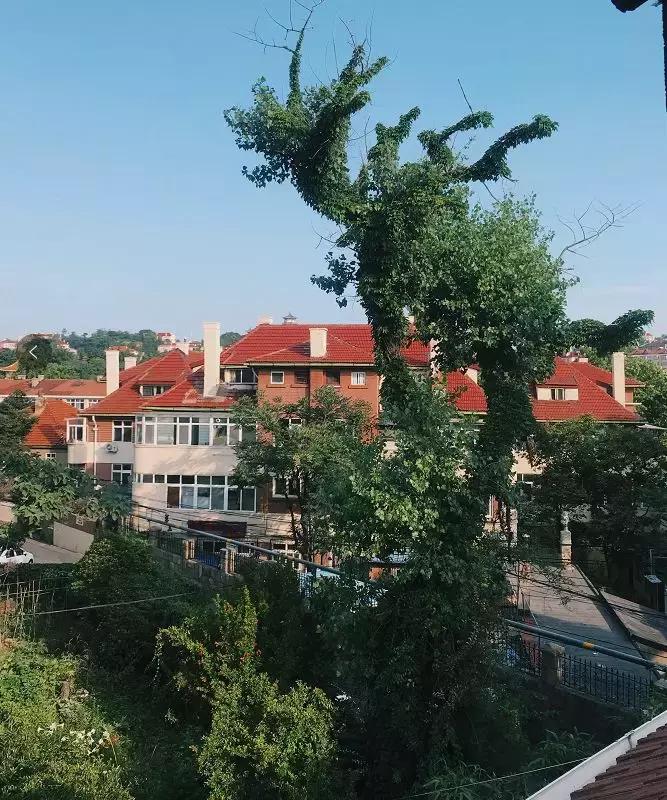 青岛小众打卡必去的地方,五一青岛小众攻略推荐