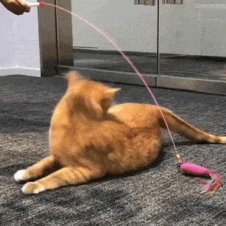 软骨素对膝盖疼有帮助吗,软骨素对全身疼痛有用吗