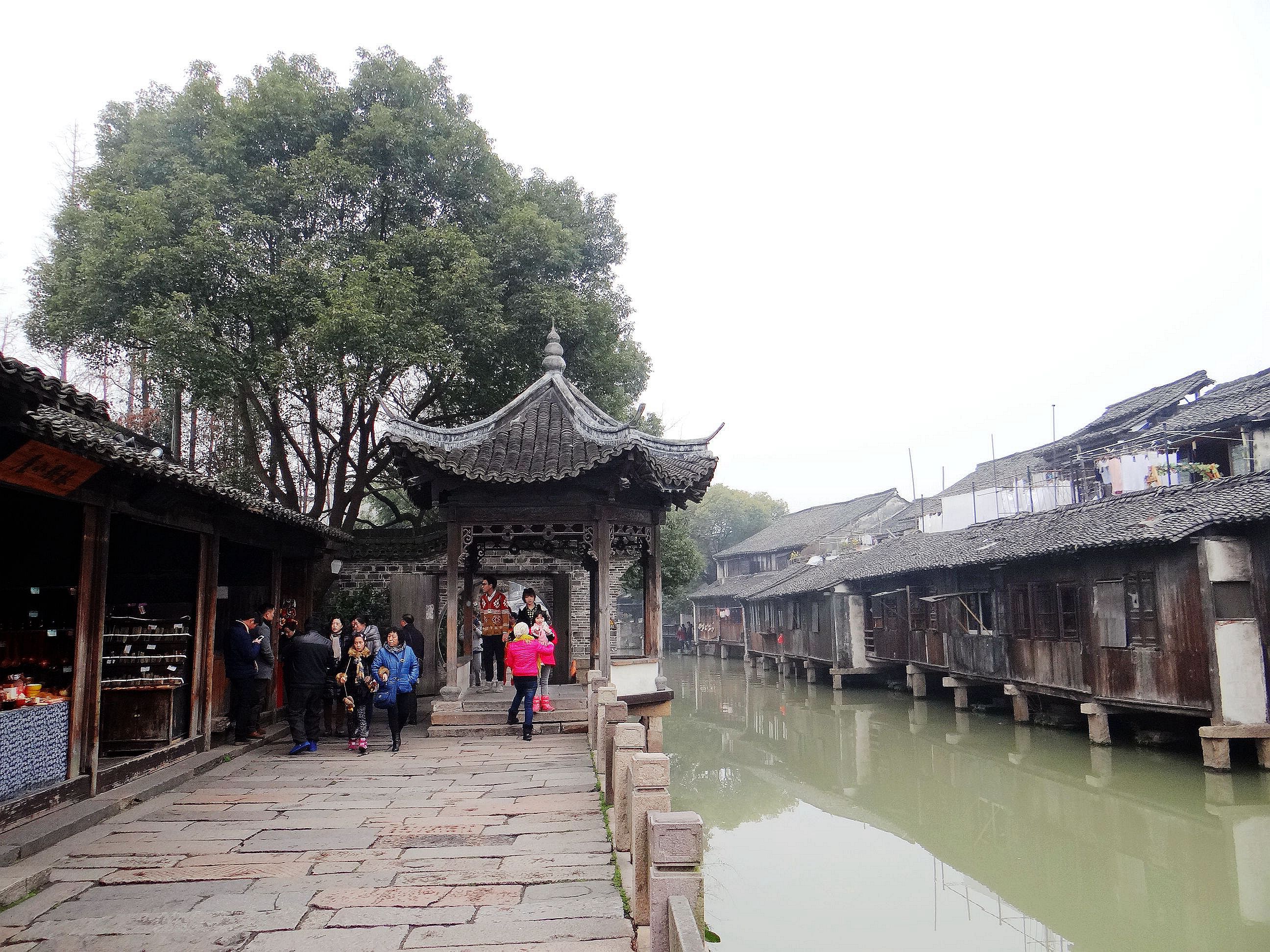 地处金三角，运河穿流过，建镇有千年，江南鱼米乡，知道这是哪里