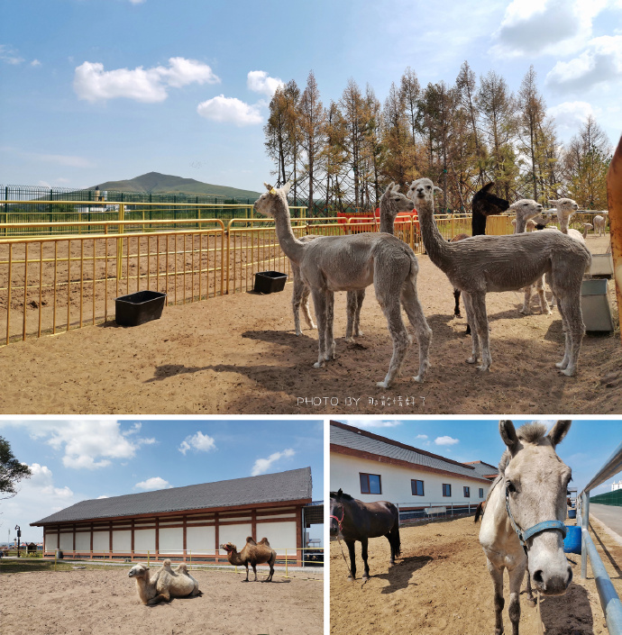 夏日避暑旅游胜地推荐快来看看吧,中国夏季最凉快的十个旅游胜地