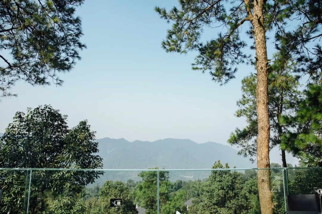 放弃城市40万年薪，夫妻躲进深山造出“最美书店”引600万人围观