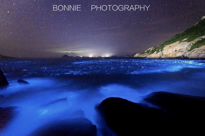 嵊泗列岛五天四夜旅游攻略,4月初嵊泗列岛2天一晚旅游攻略