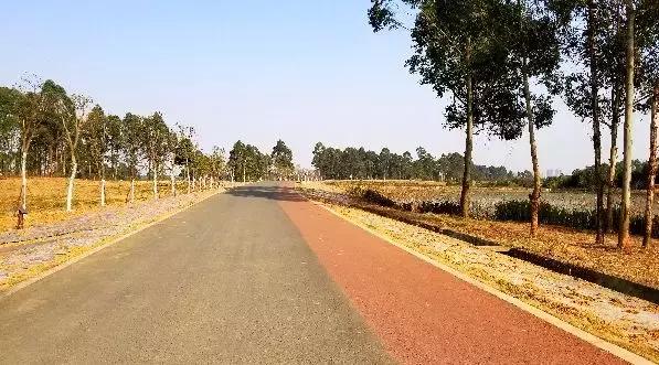 双流夜景必打卡之地,成都双流免费打卡景点