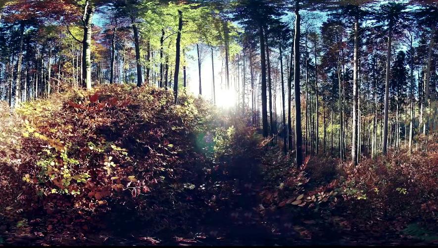 雷神之锤对战昊天锤究竟谁更强,雷神之锤世界纪录