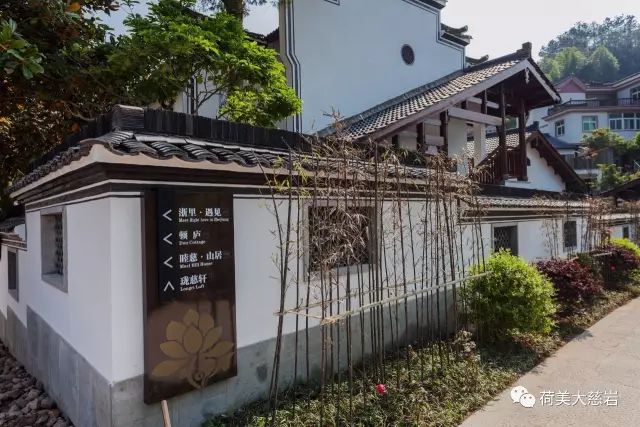 夜新叶，新叶夜，夜夜夜夜夜！唱吧醉仙居，探秘奶茶吧，茶憩戏曲馆，漫步烟花巷……每周六晚