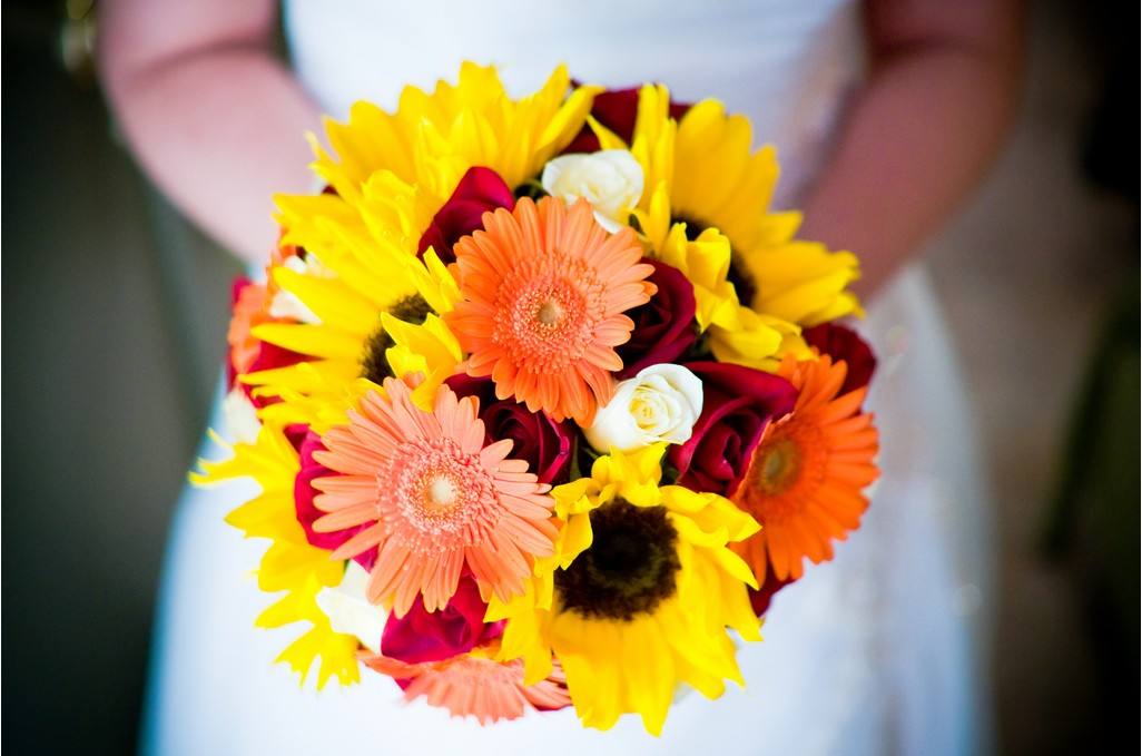 新房装修甲醛含量高的四种材料,室内去甲醛植物哪一种好