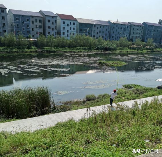 野钓难钓的原因,野钓时经常碰到的难题一次全解决