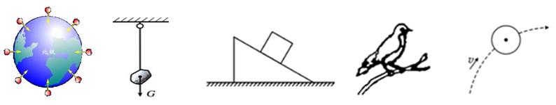 6.3重力,物理重力思维导图